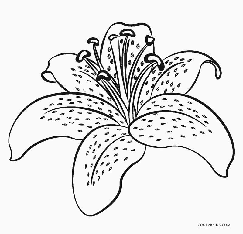 55 Printable Flowers For Coloring 10