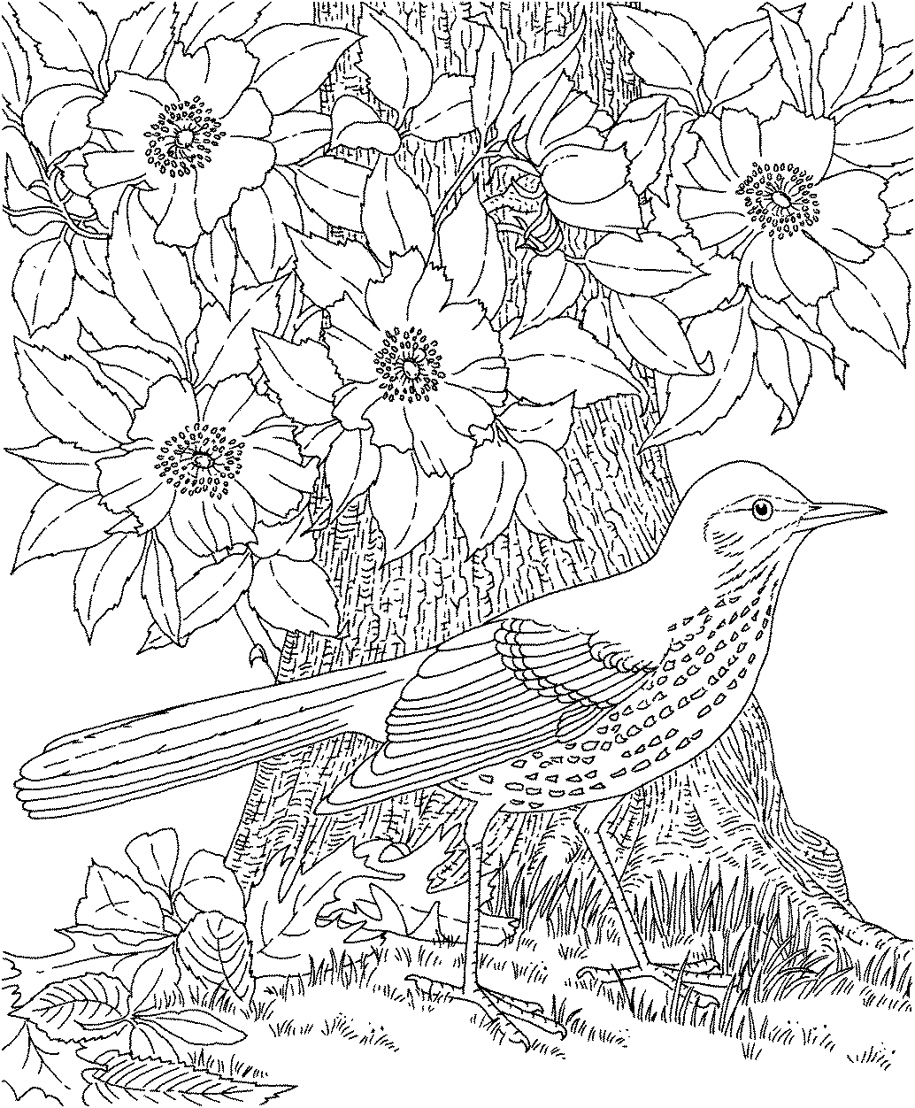 55 Printable Flowers For Coloring 22