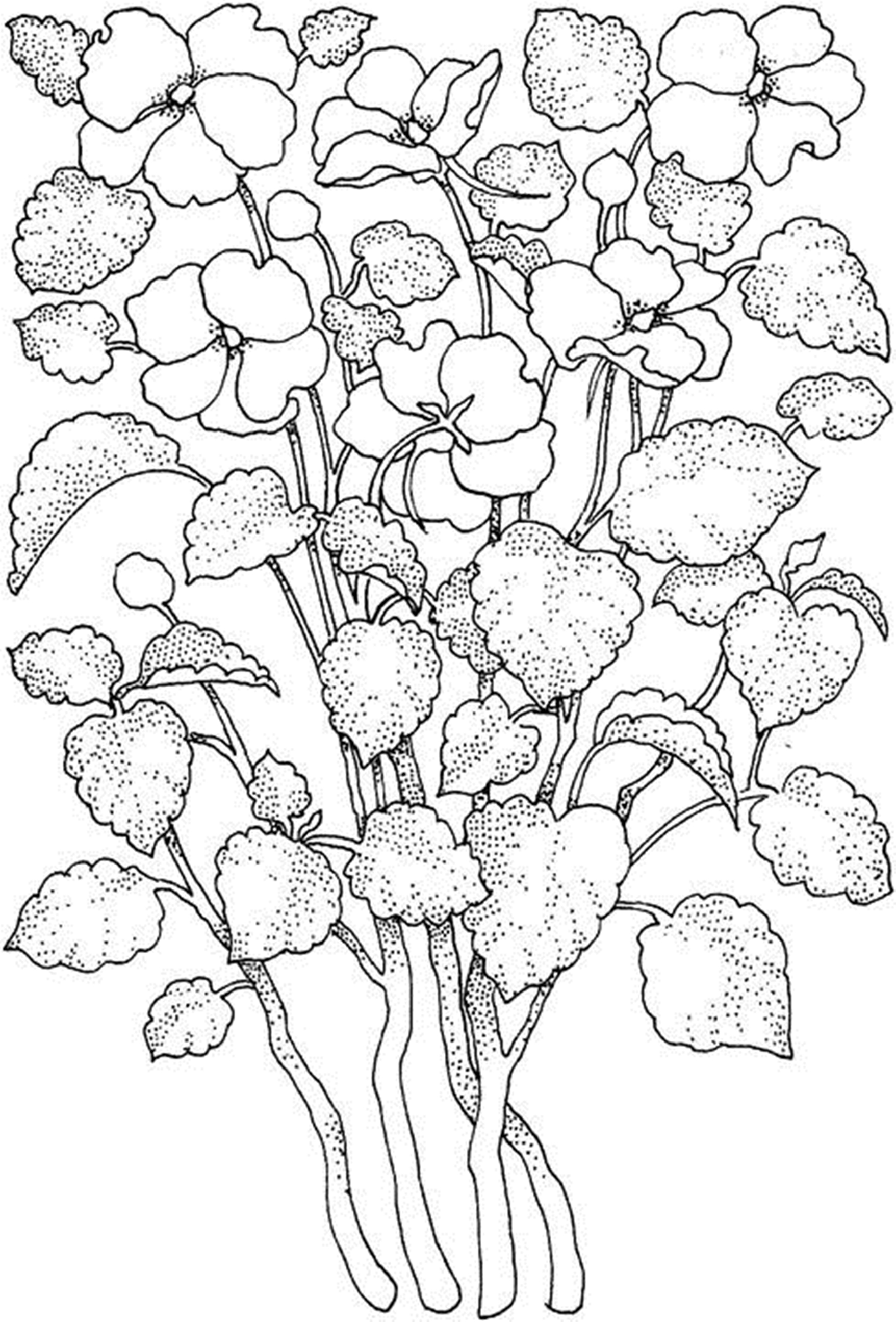 55 Printable Flowers For Coloring 24