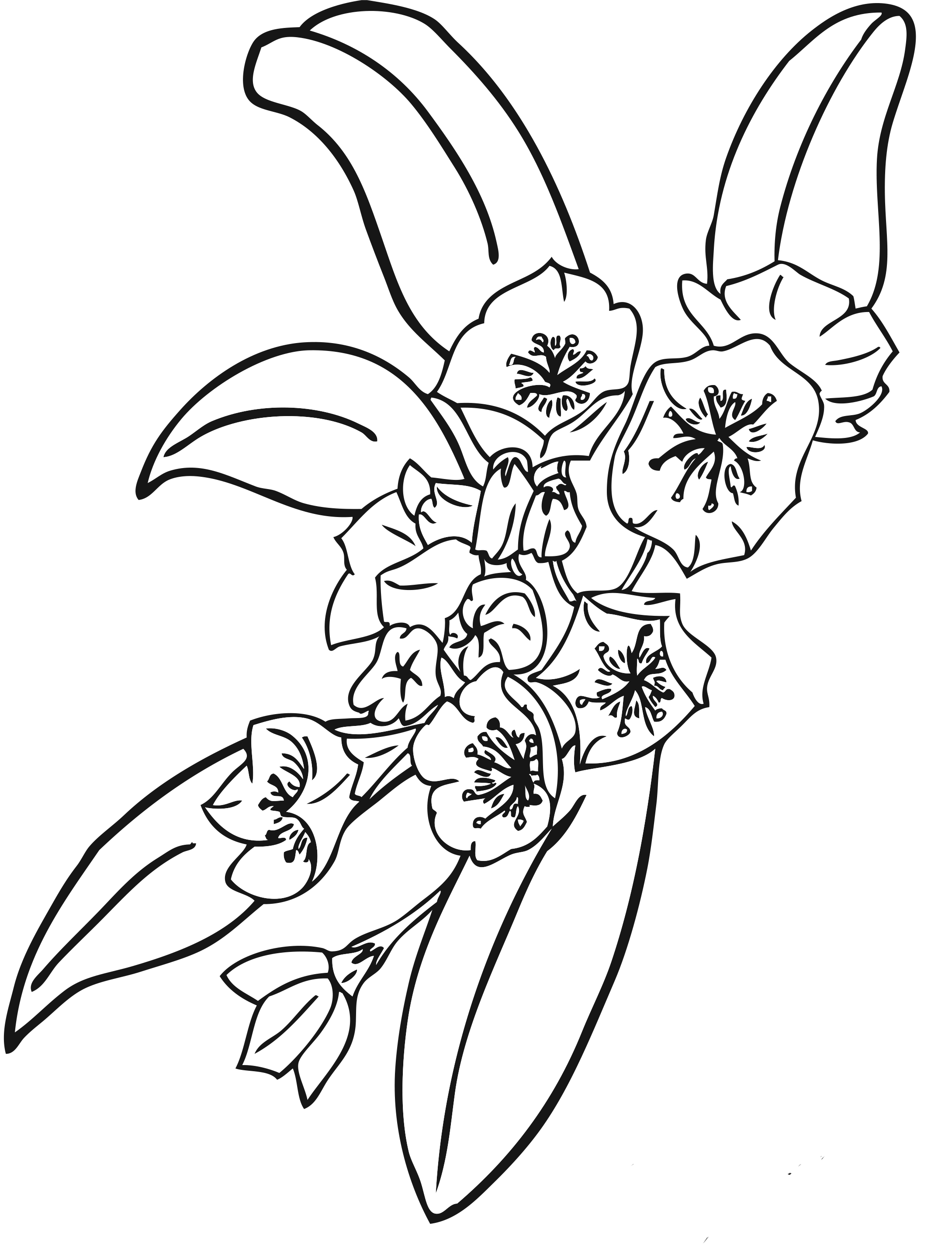 55 Printable Flowers For Coloring 3