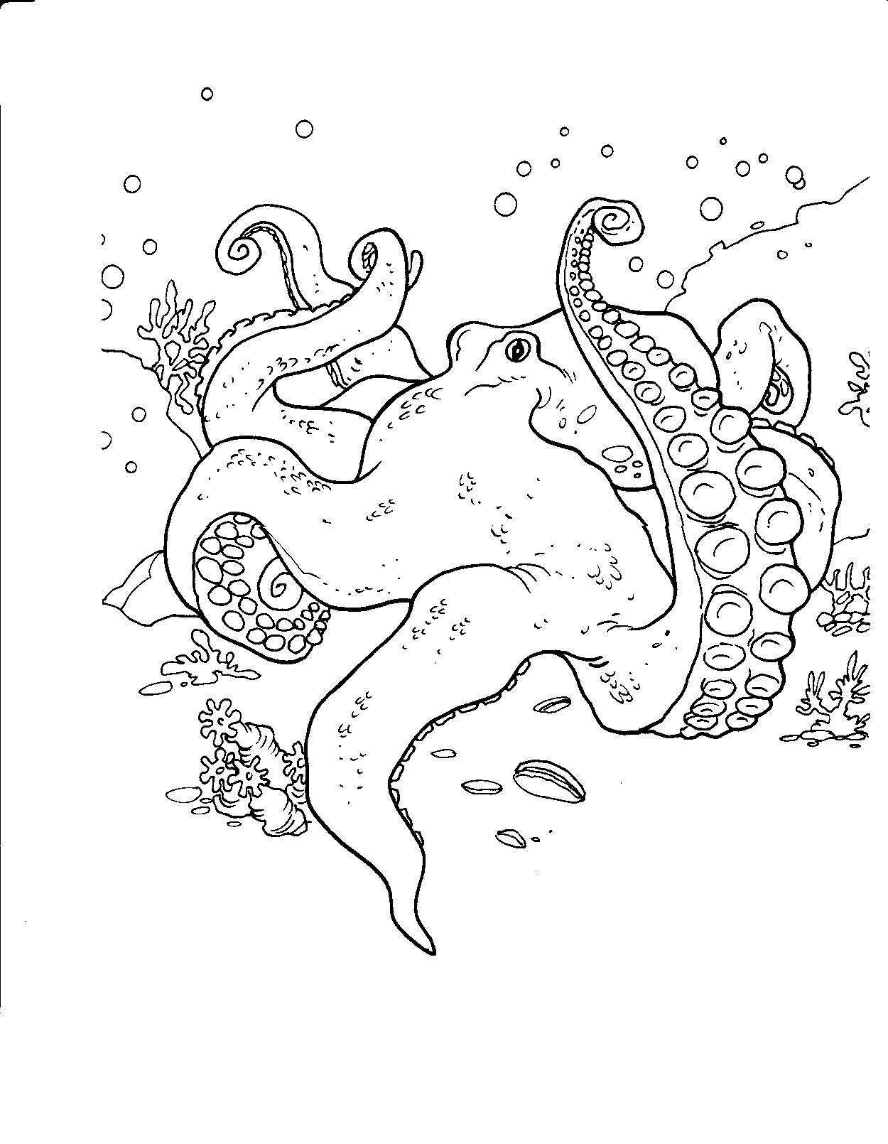 55 Printable Octopus Coloring Page 14