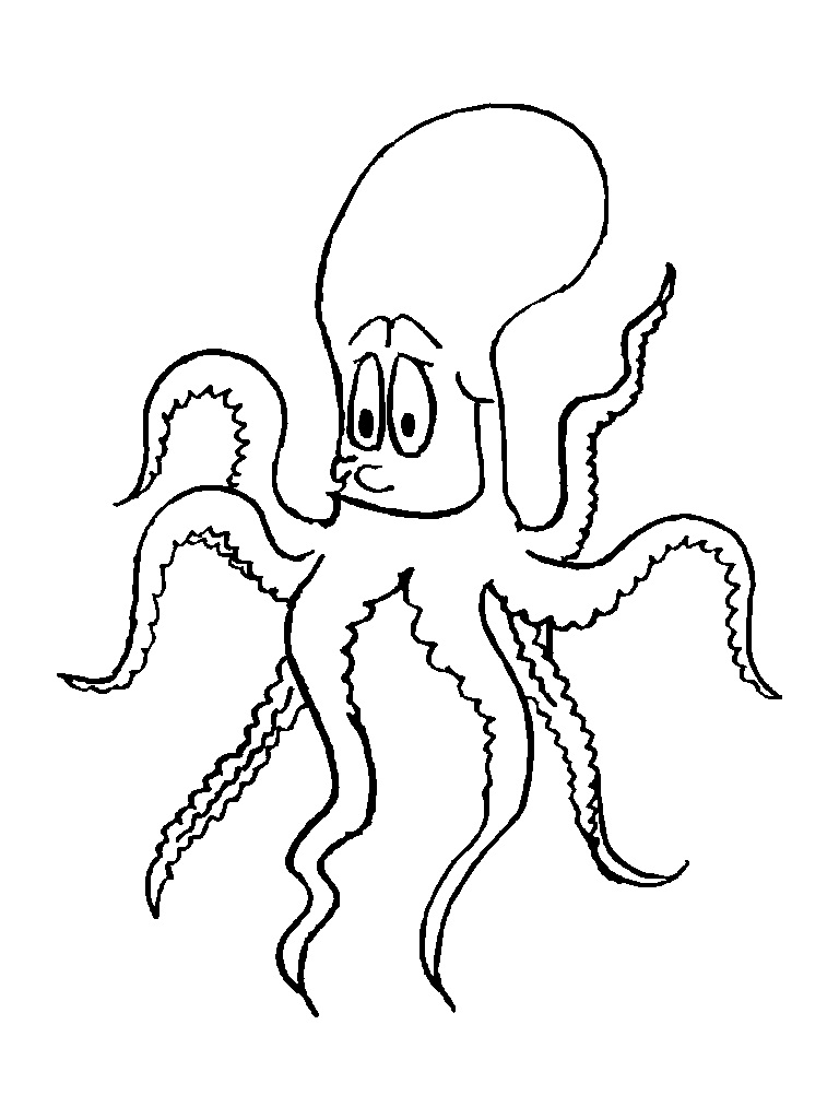 55 Printable Octopus Coloring Page 15