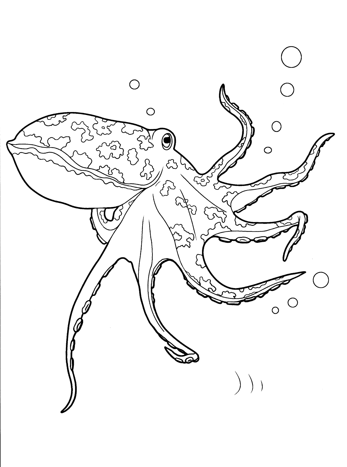 55 Printable Octopus Coloring Page 17