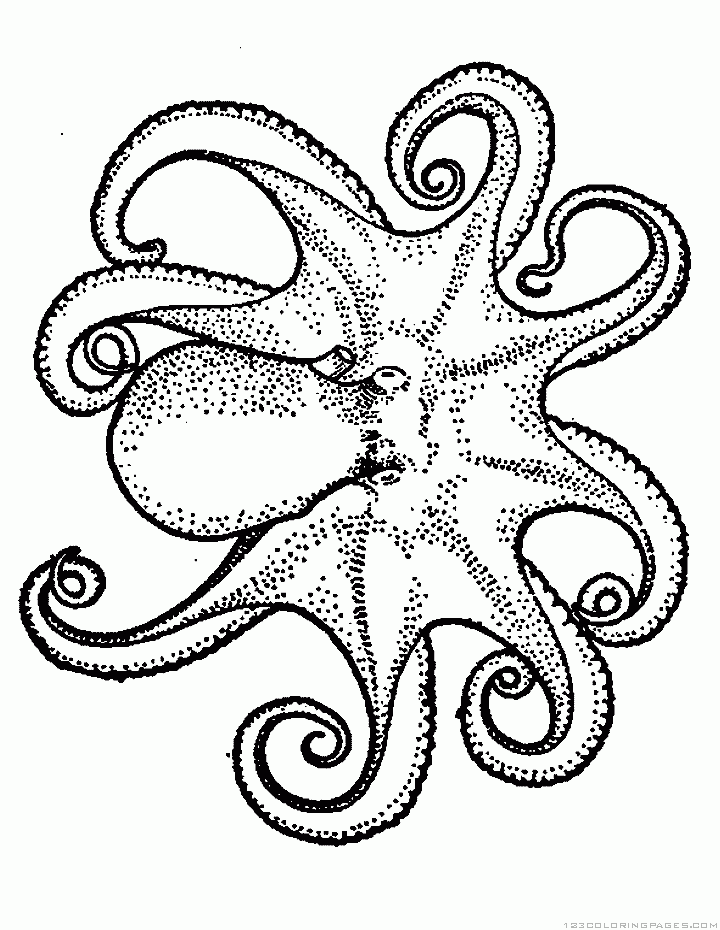 55 Printable Octopus Coloring Page 18