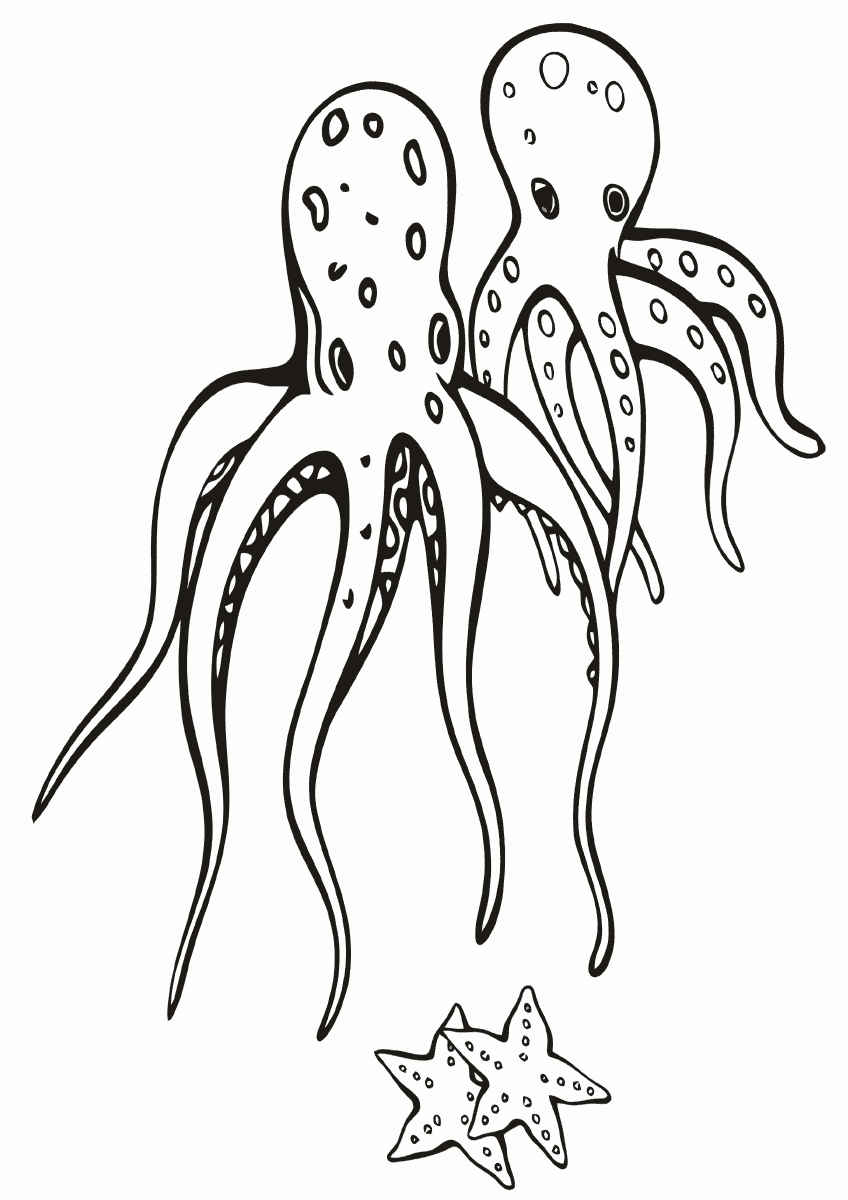 55 Printable Octopus Coloring Page 59