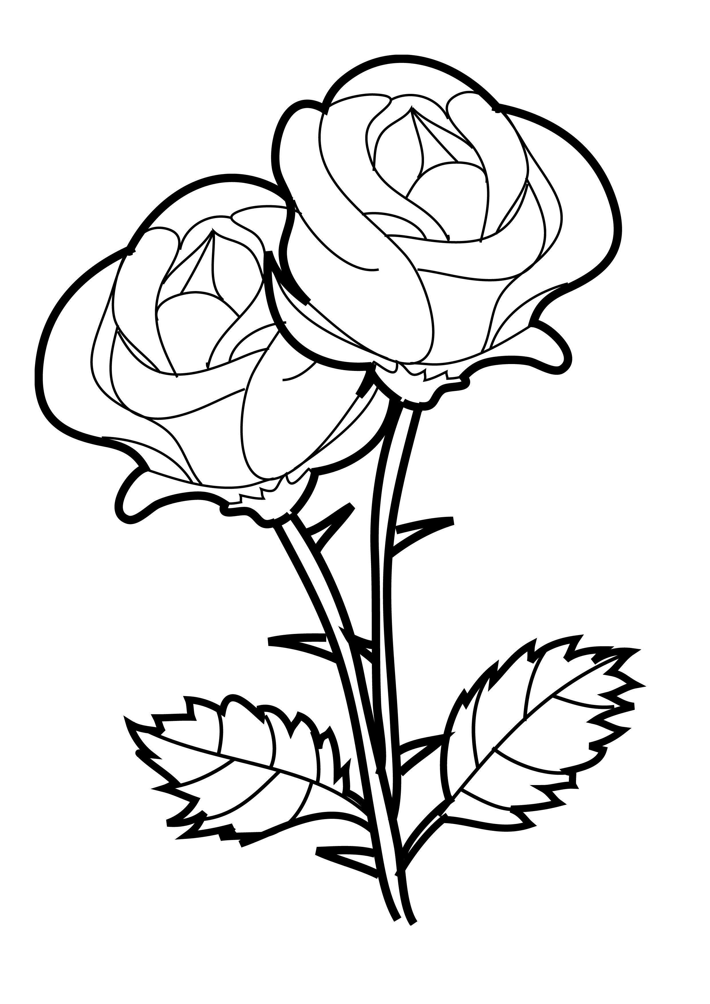 60 Coloring Pictures Roses 1