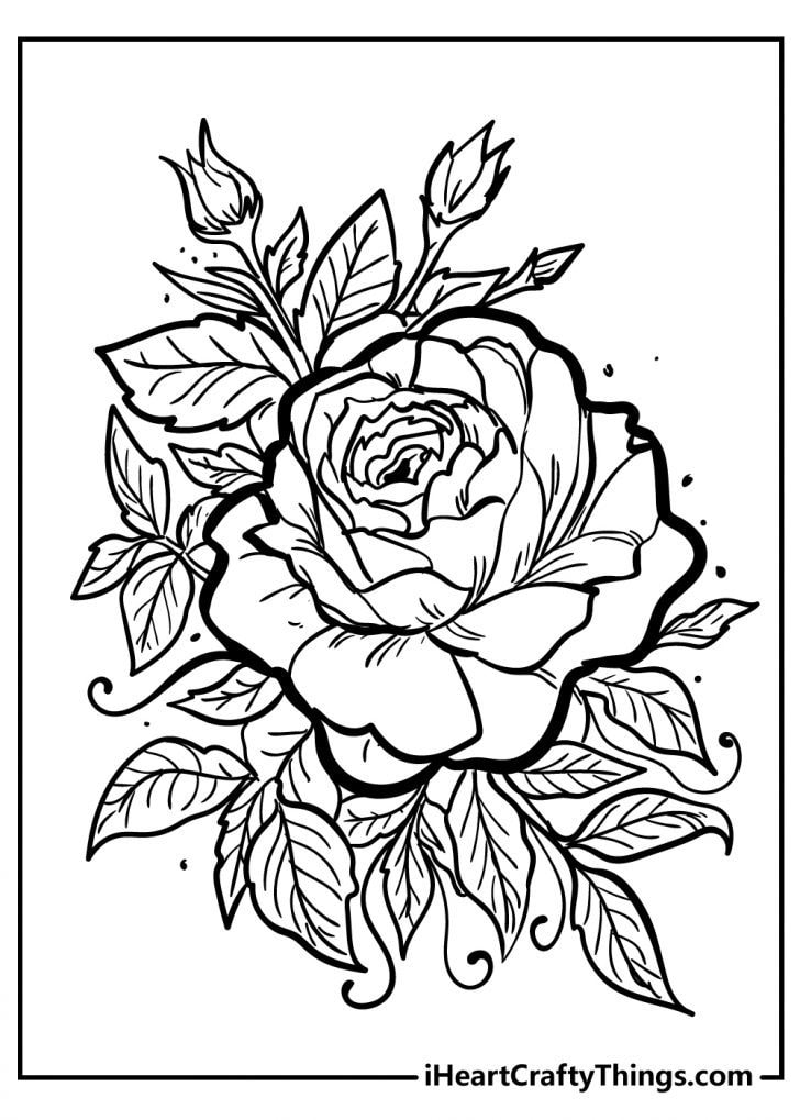 60 Coloring Pictures Roses 2