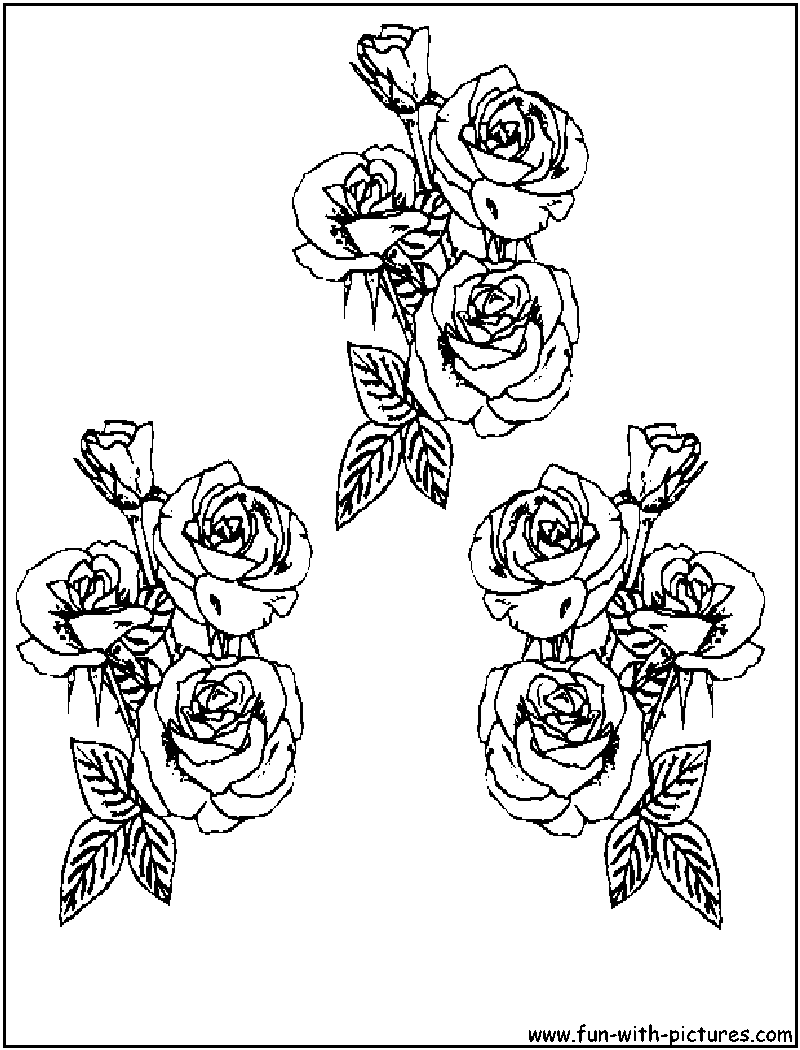 60 Coloring Pictures Roses 37