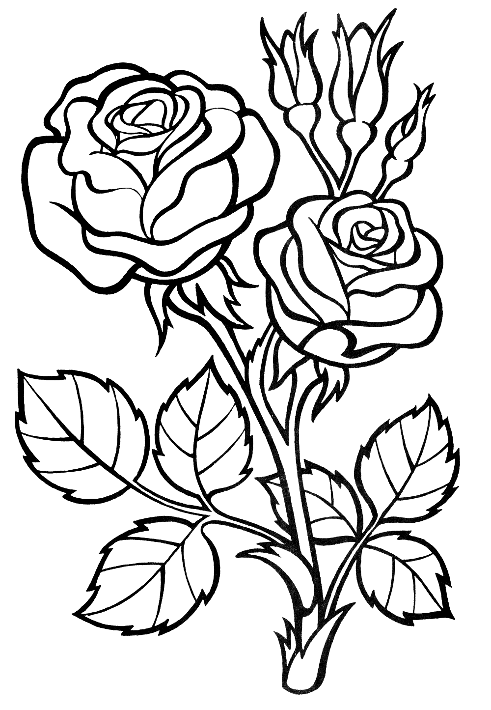 60 Coloring Pictures Roses 39