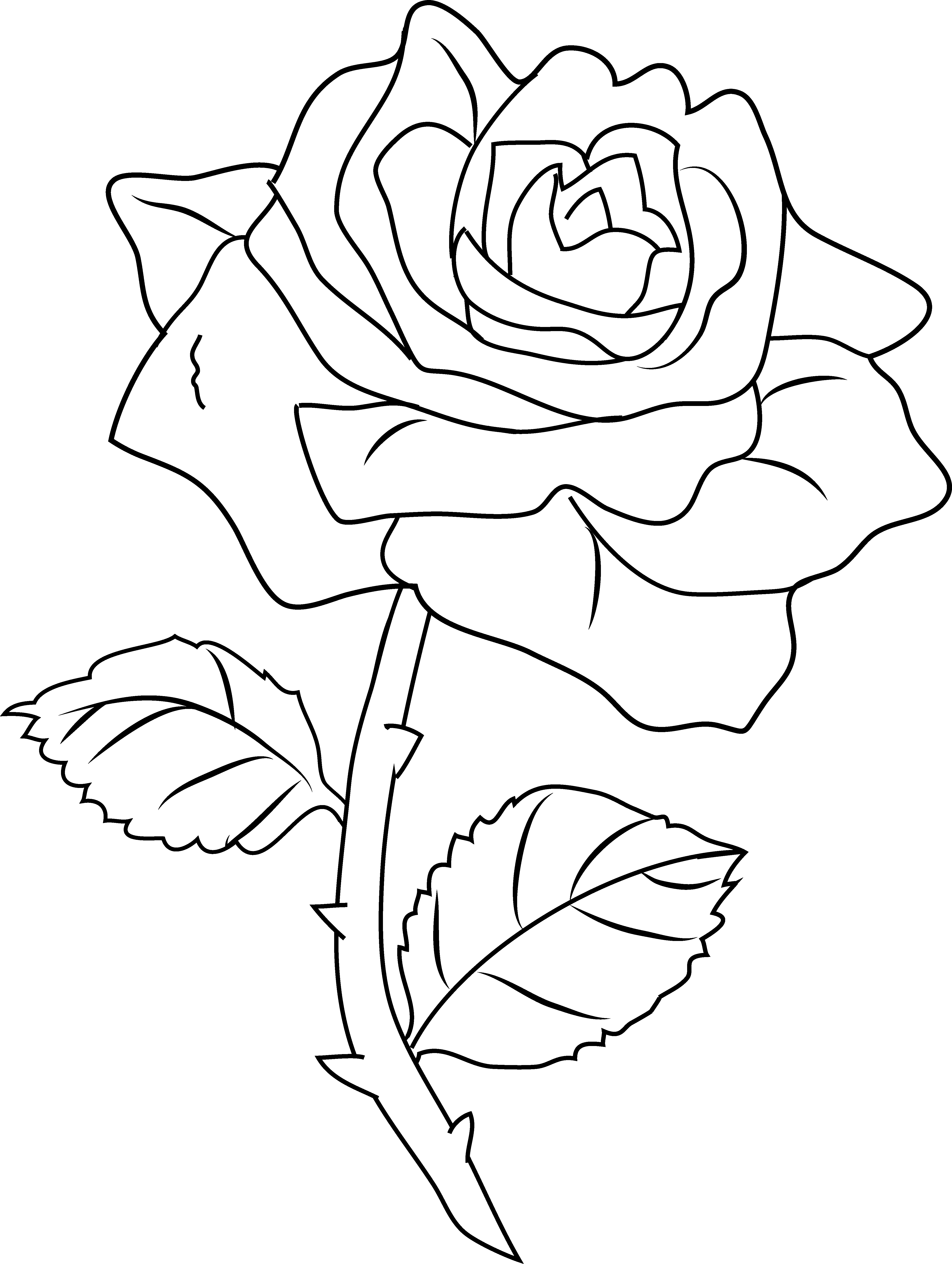 60 Coloring Pictures Roses 46