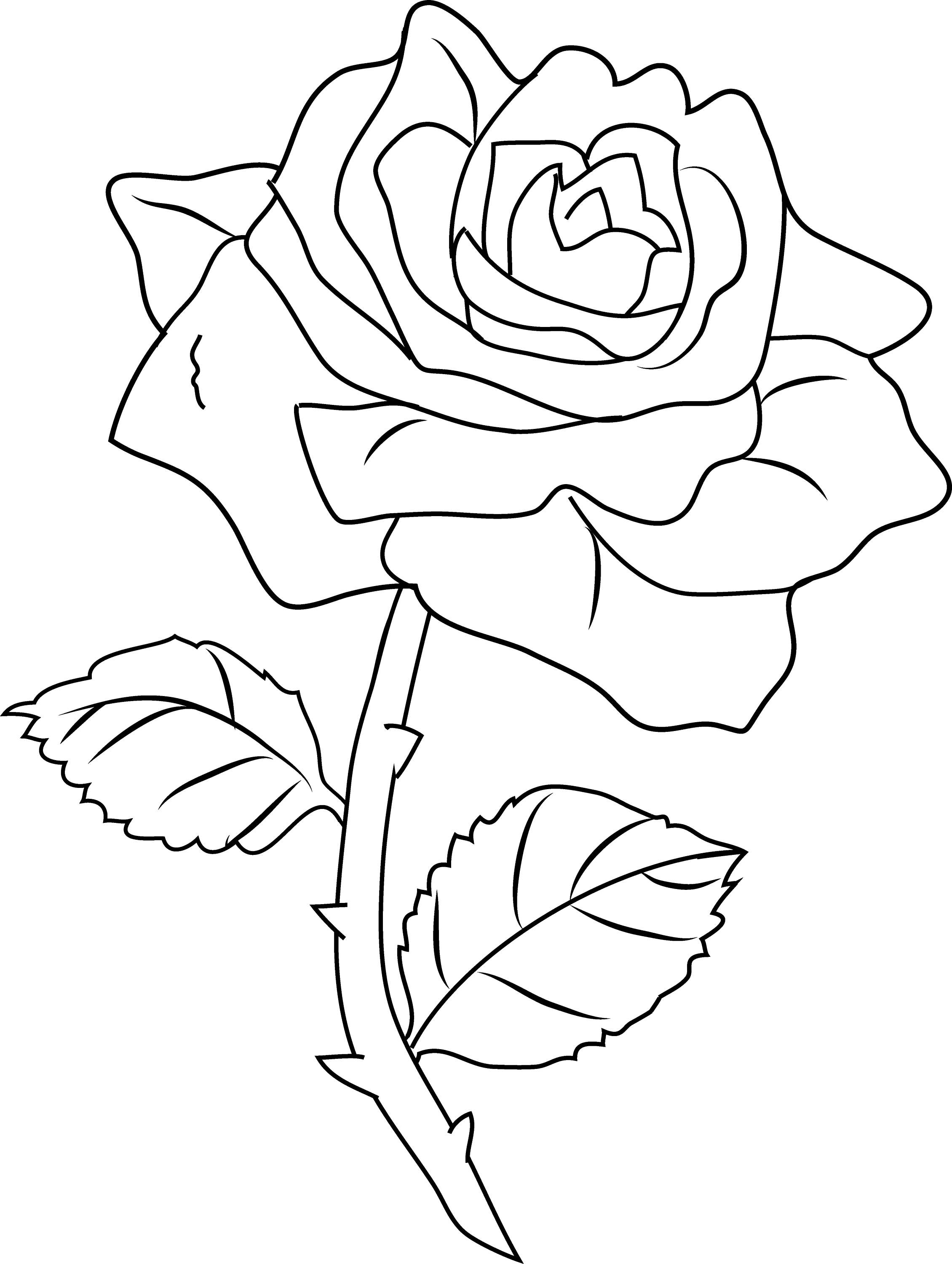 60 Coloring Pictures Roses 48