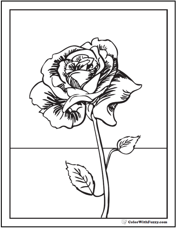 60 Coloring Pictures Roses 50