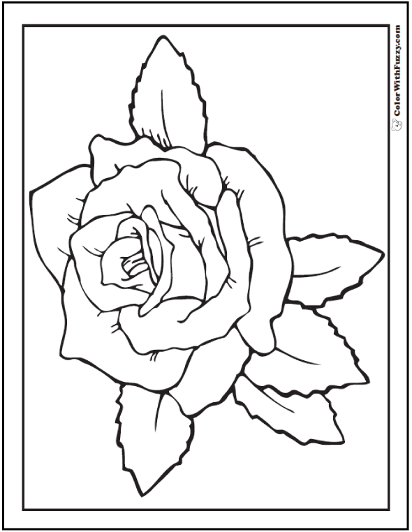 60 Coloring Pictures Roses 56