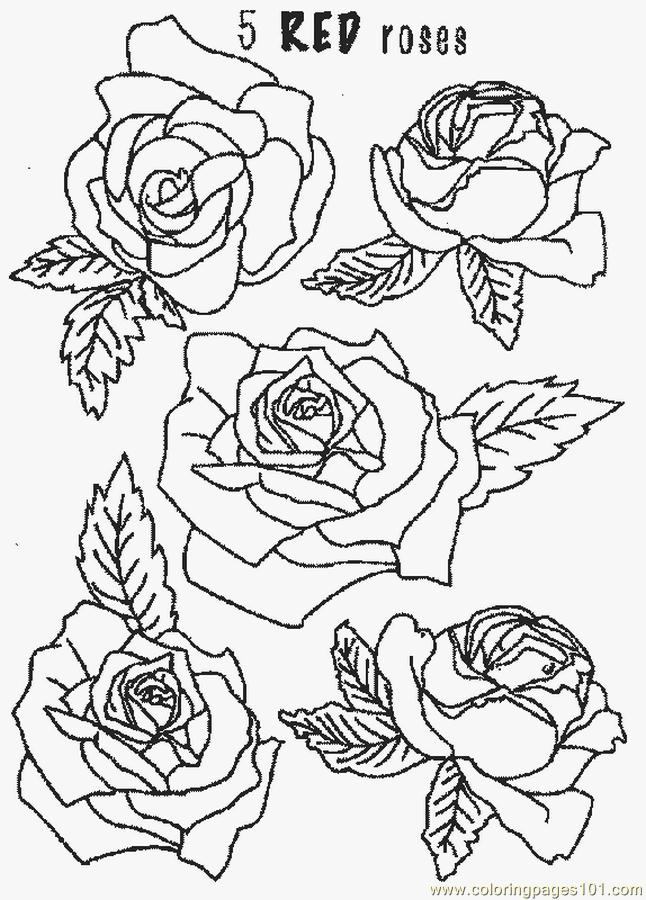 60 Coloring Pictures Roses 7