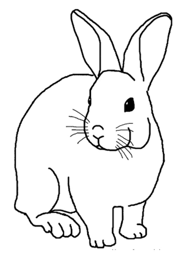 60 Printable Rabbit Coloring Pages 16