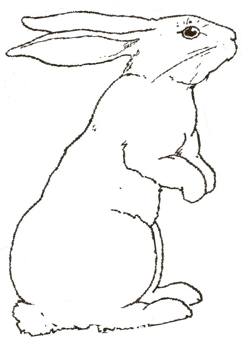 60 Printable Rabbit Coloring Pages 22