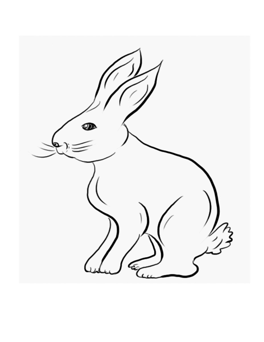 60 Printable Rabbit Coloring Pages 23