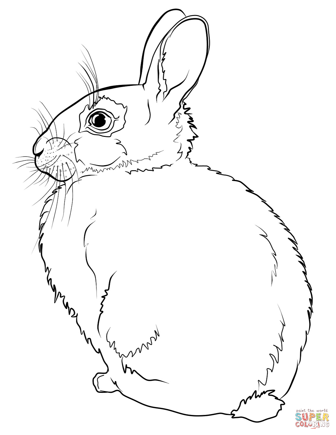 60 Printable Rabbit Coloring Pages 25