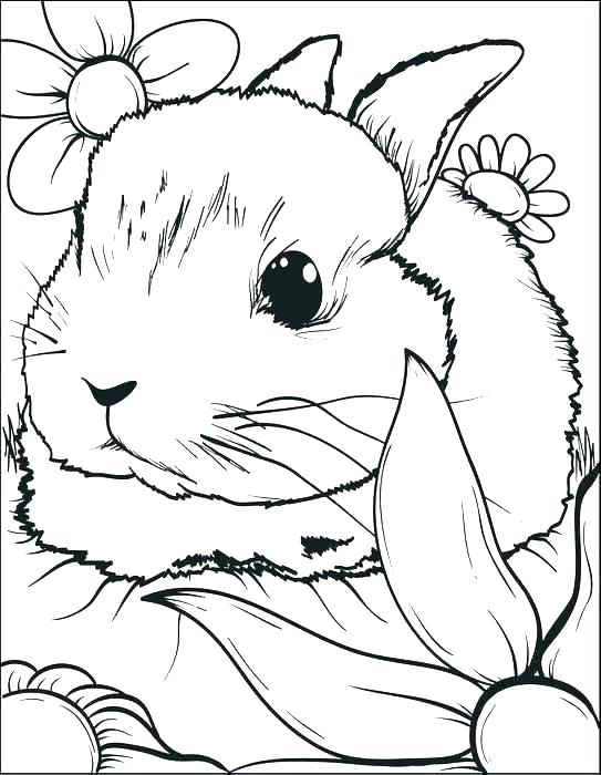 60 Printable Rabbit Coloring Pages 30