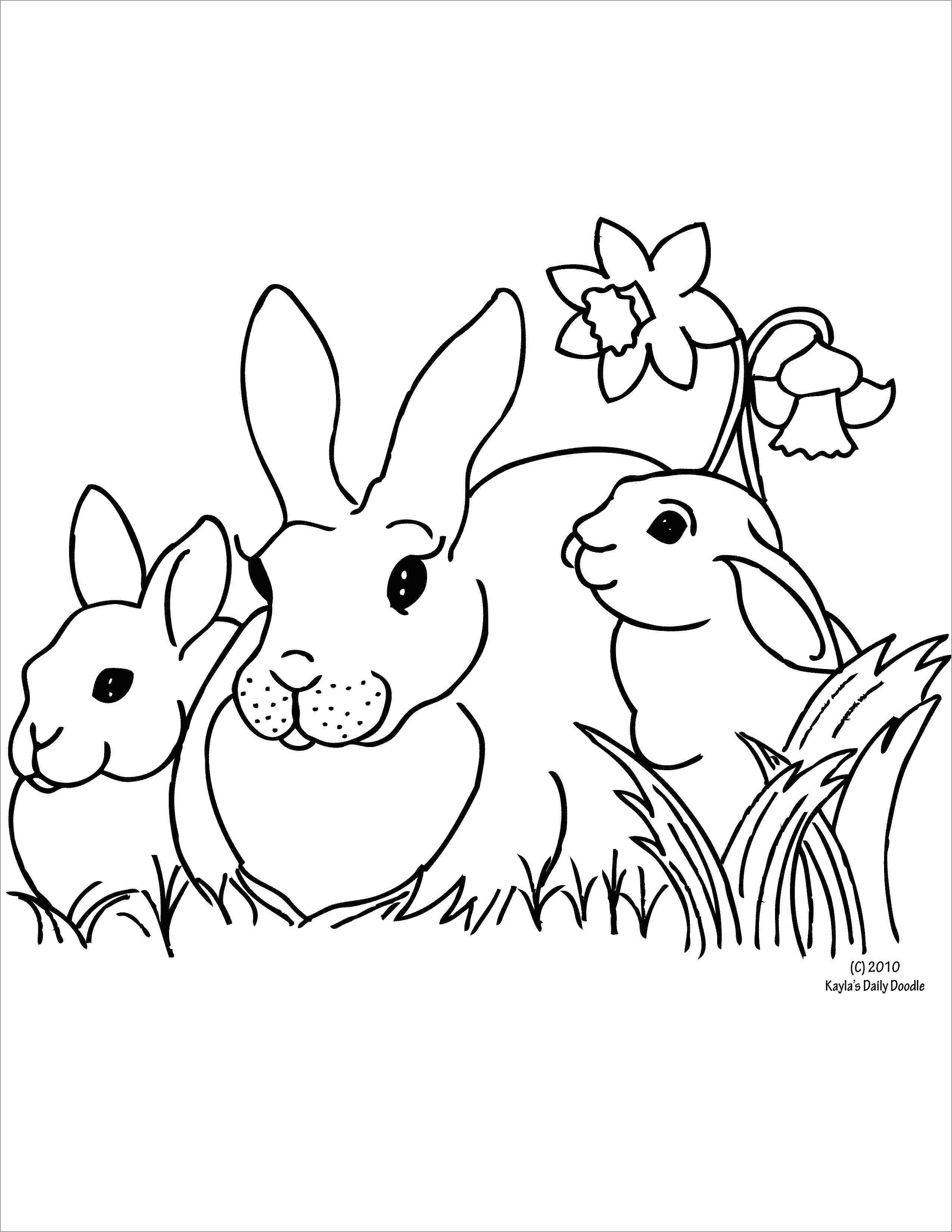 60 Printable Rabbit Coloring Pages 32