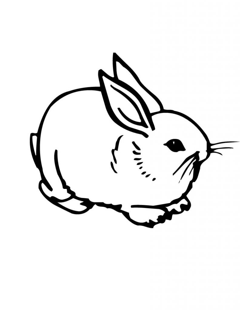 60 Printable Rabbit Coloring Pages 35