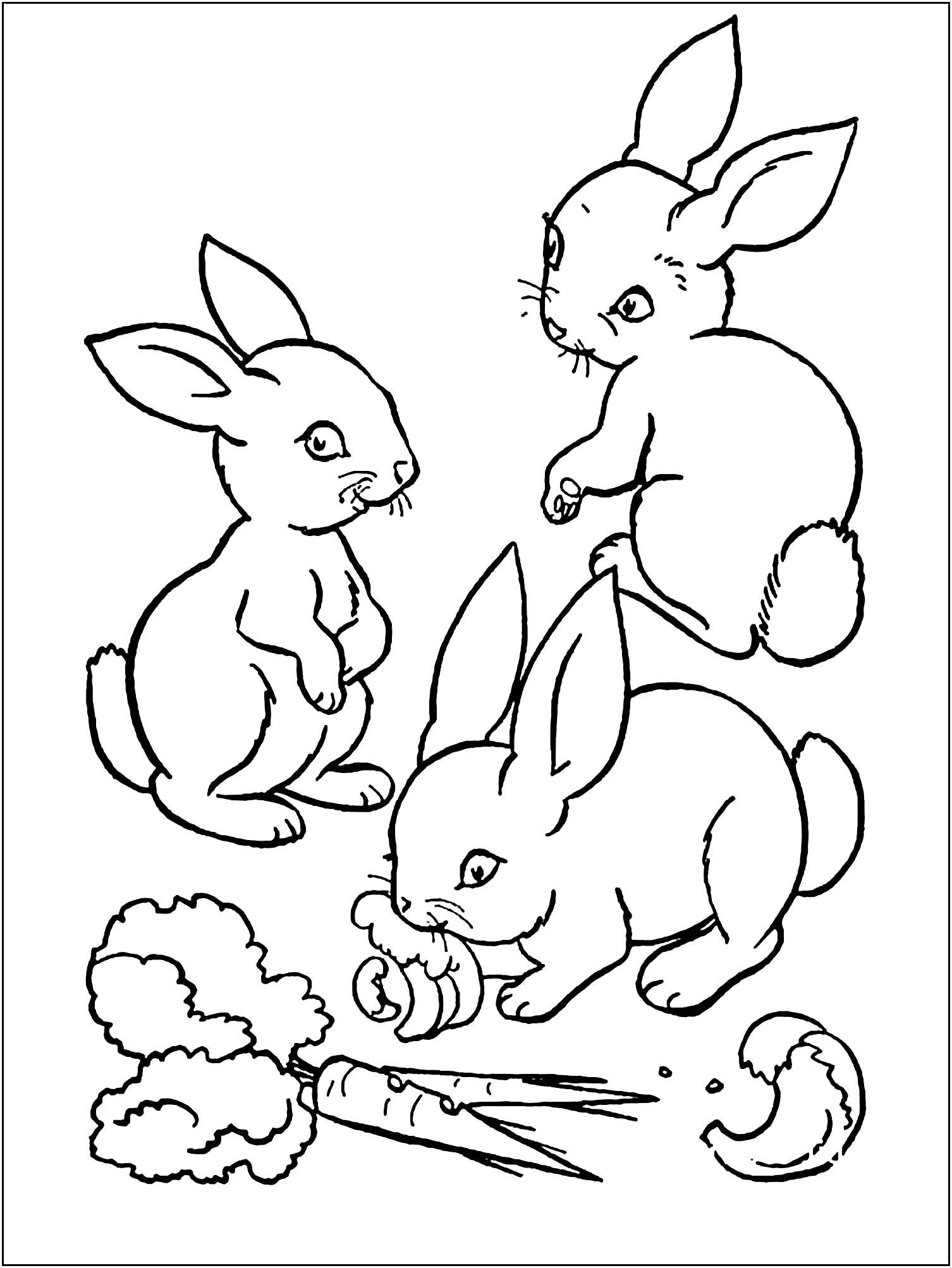 60 Printable Rabbit Coloring Pages 49