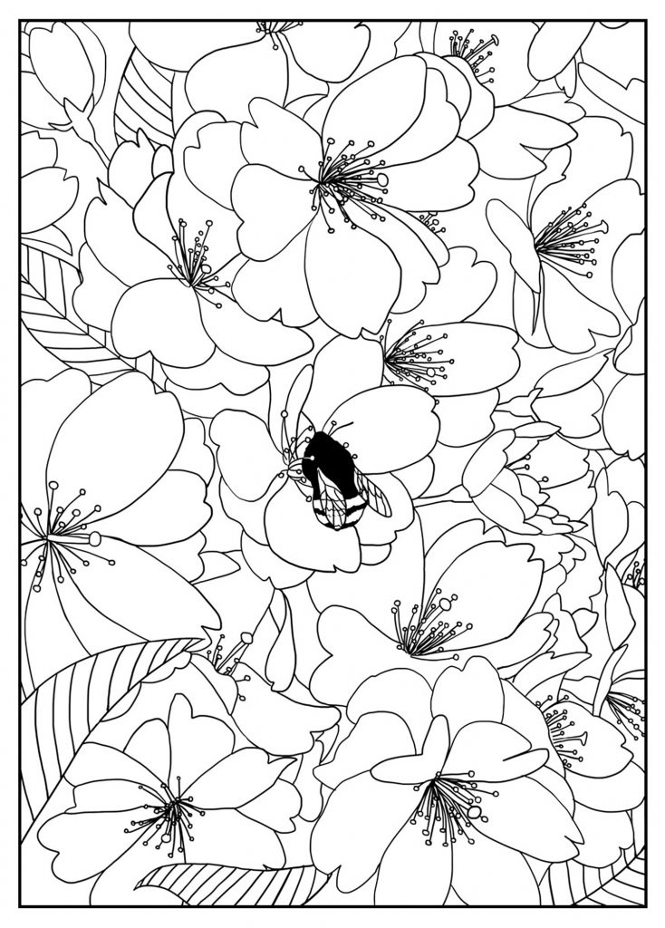 55 Printable Flower Coloring 50