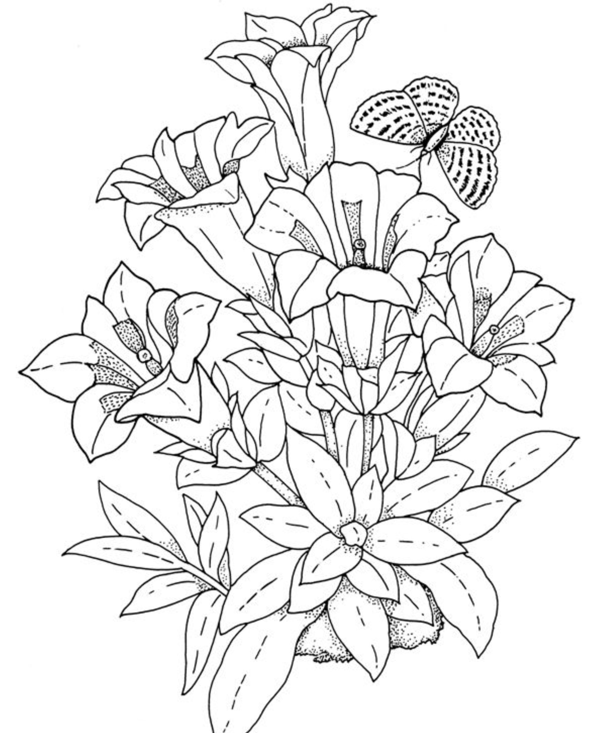 55 Printable Flower Coloring 54