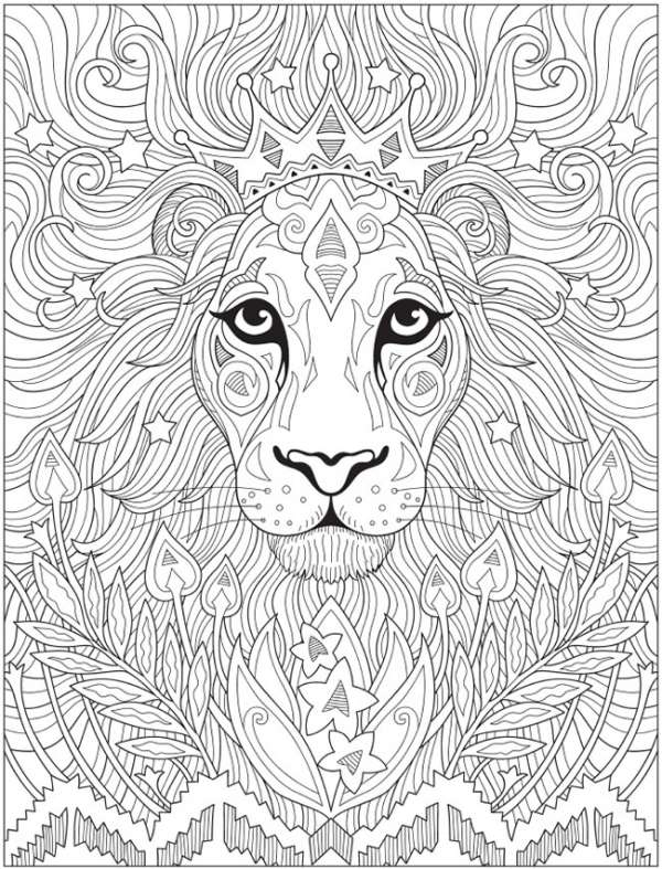 80 Coloring Pages Wildlife 30