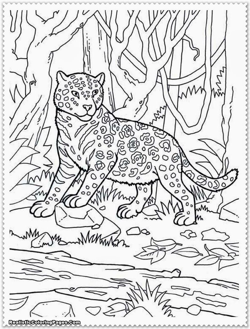 80 Coloring Pages Wildlife 33