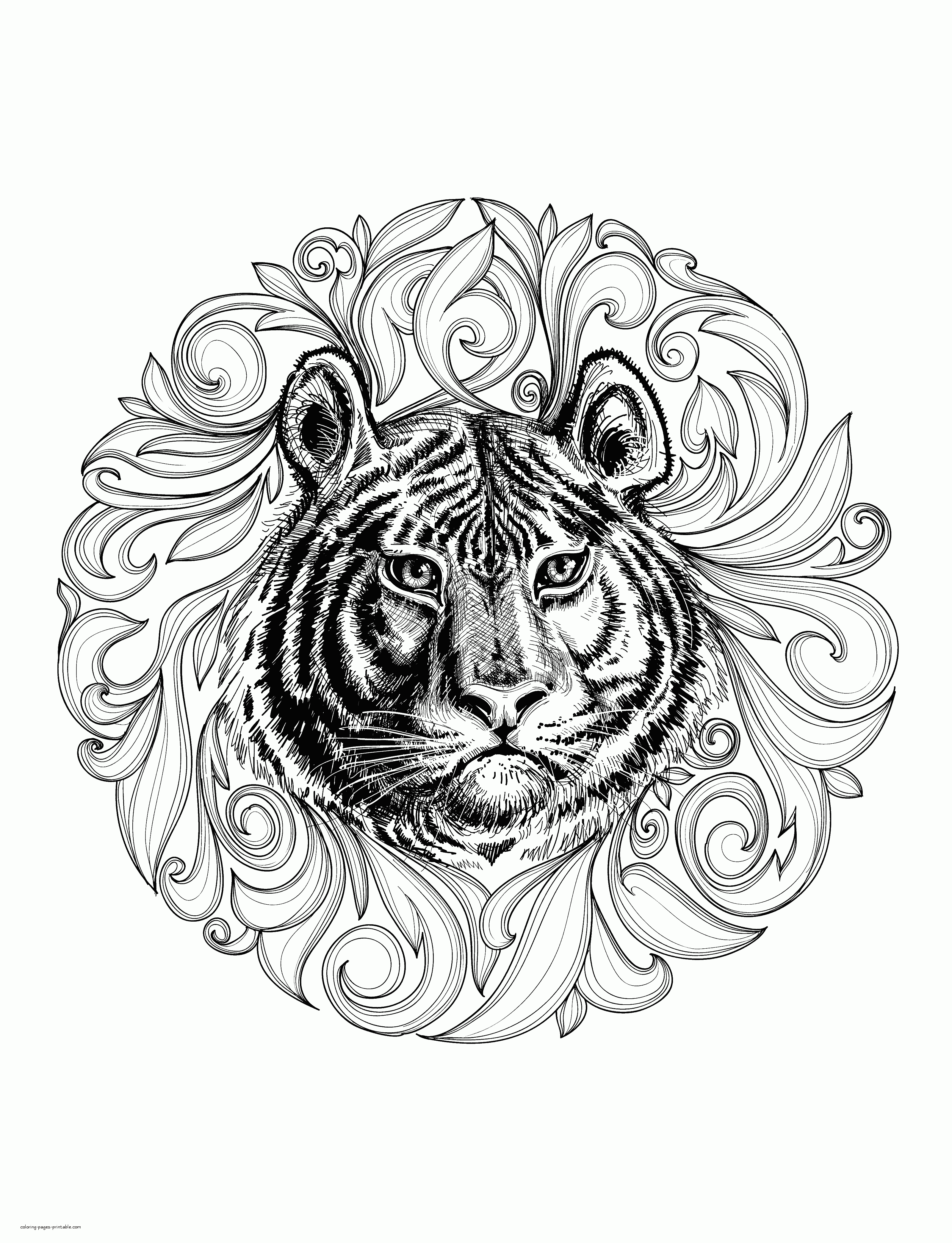 80 Coloring Pages Wildlife 83