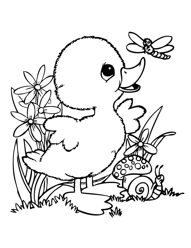 80 Printable Spring Animals Coloring Pages 54