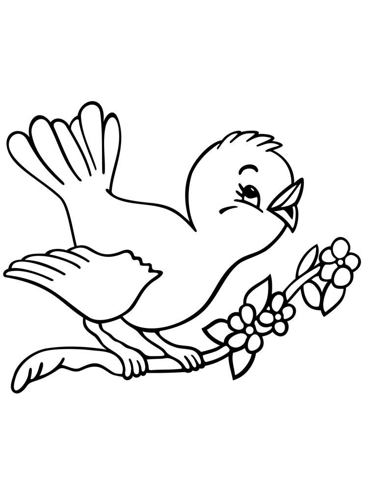 90 Printable Coloring Pages Of Birds 23