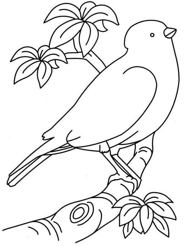 90 Printable Coloring Pages Of Birds 29