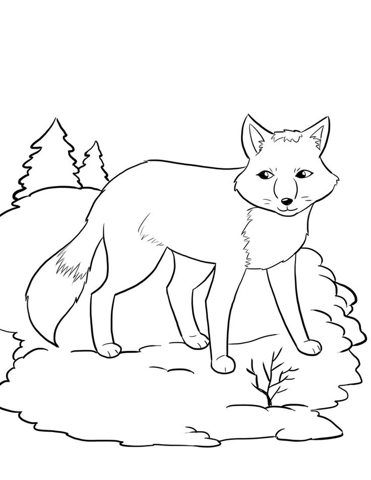 90 Printable Fox Coloring Pictures 39