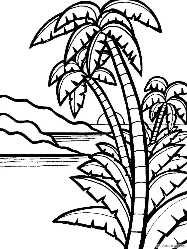 90 Printable Palm Tree Coloring Pages 56