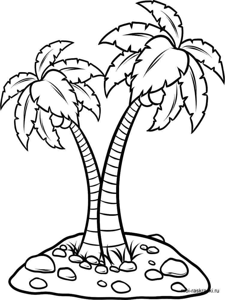 90 Printable Palm Tree Coloring Pages 57