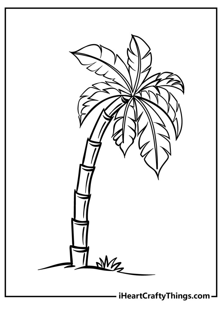 90 Printable Palm Tree Coloring Pages 61