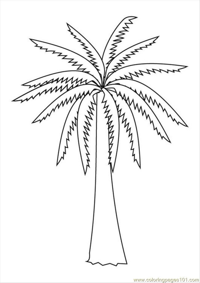 90 Printable Palm Tree Coloring Pages 85