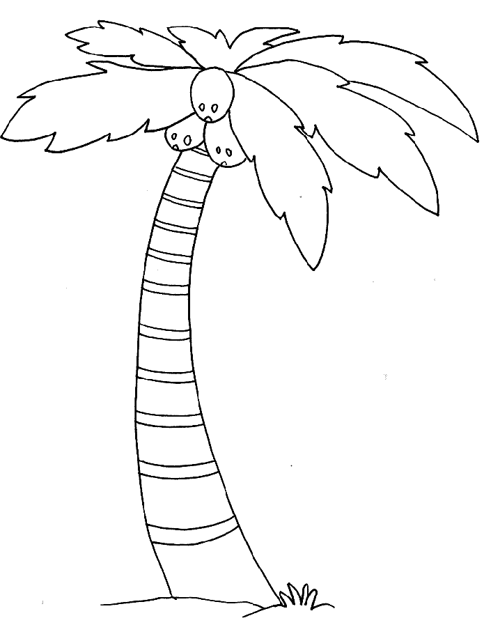 90 Printable Palm Tree Coloring Pages 88