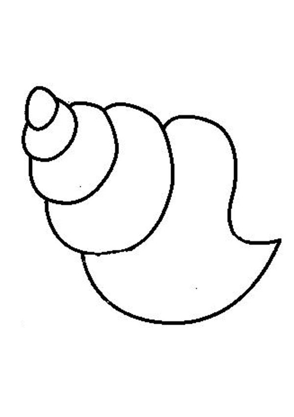 90 Printable Seashell Coloring Pages 12