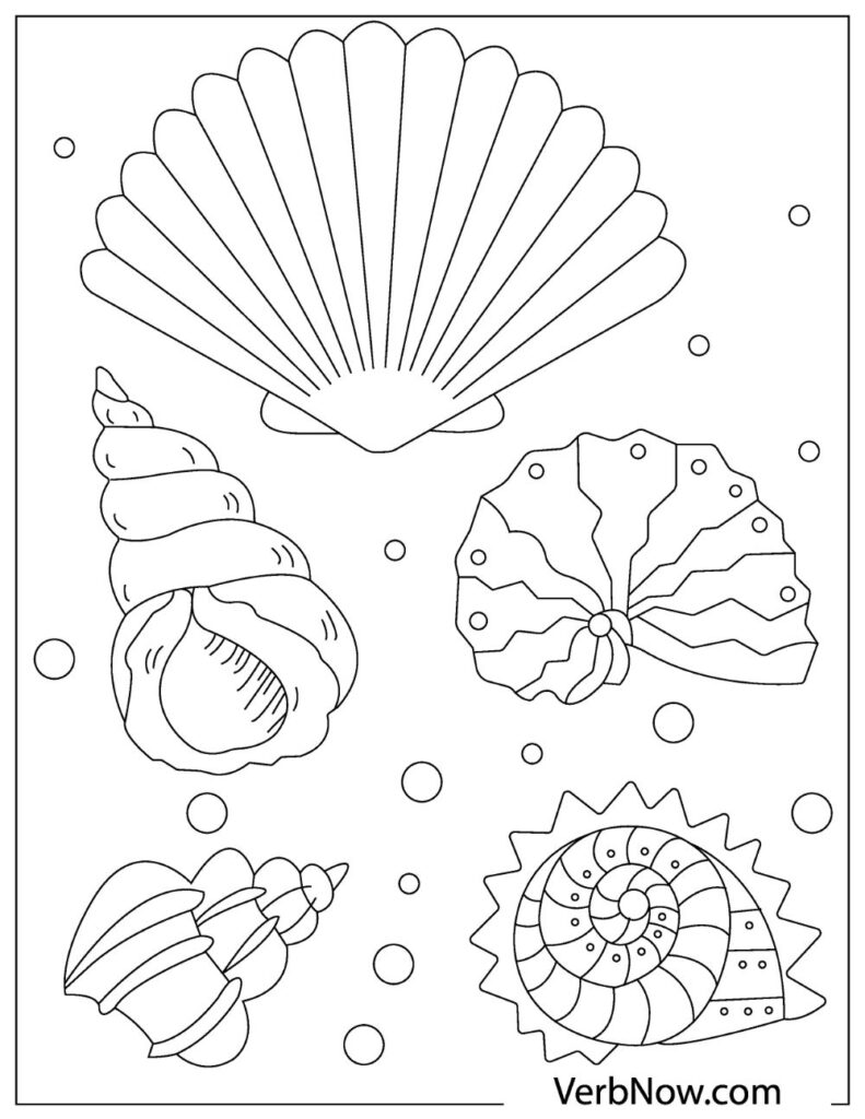 90 Printable Seashell Coloring Pages 14