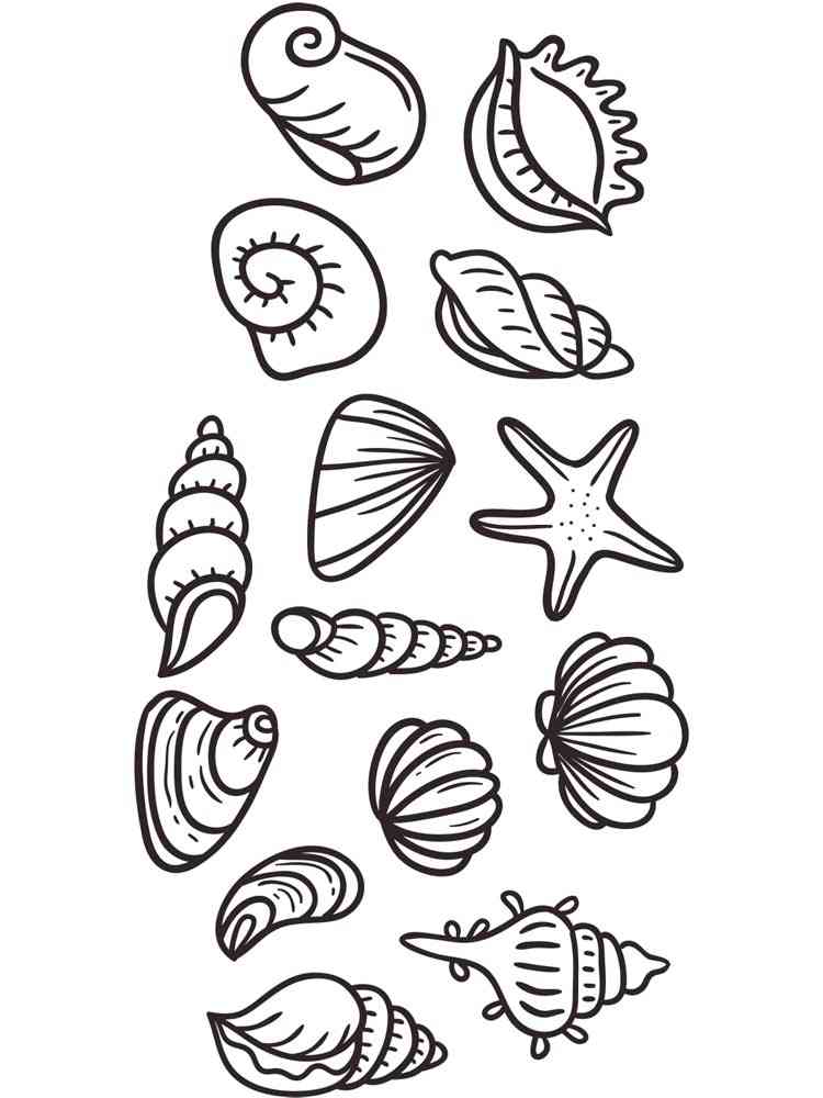 90 Printable Seashell Coloring Pages 16