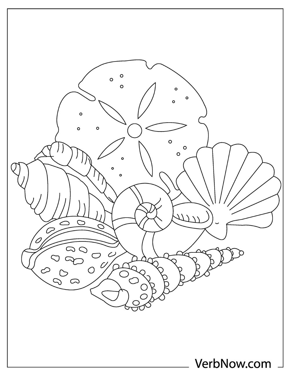 90 Printable Seashell Coloring Pages 2