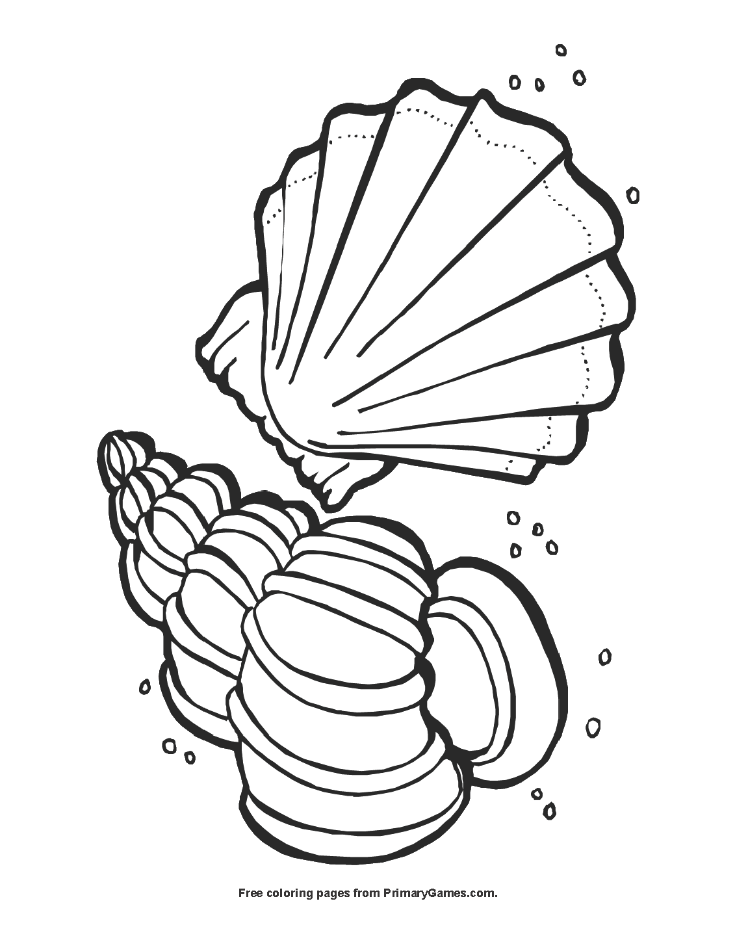 90 Printable Seashell Coloring Pages 3