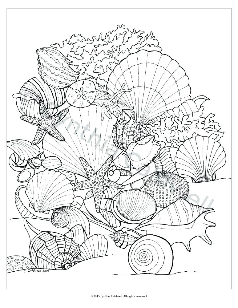 90 Printable Seashell Coloring Pages 5