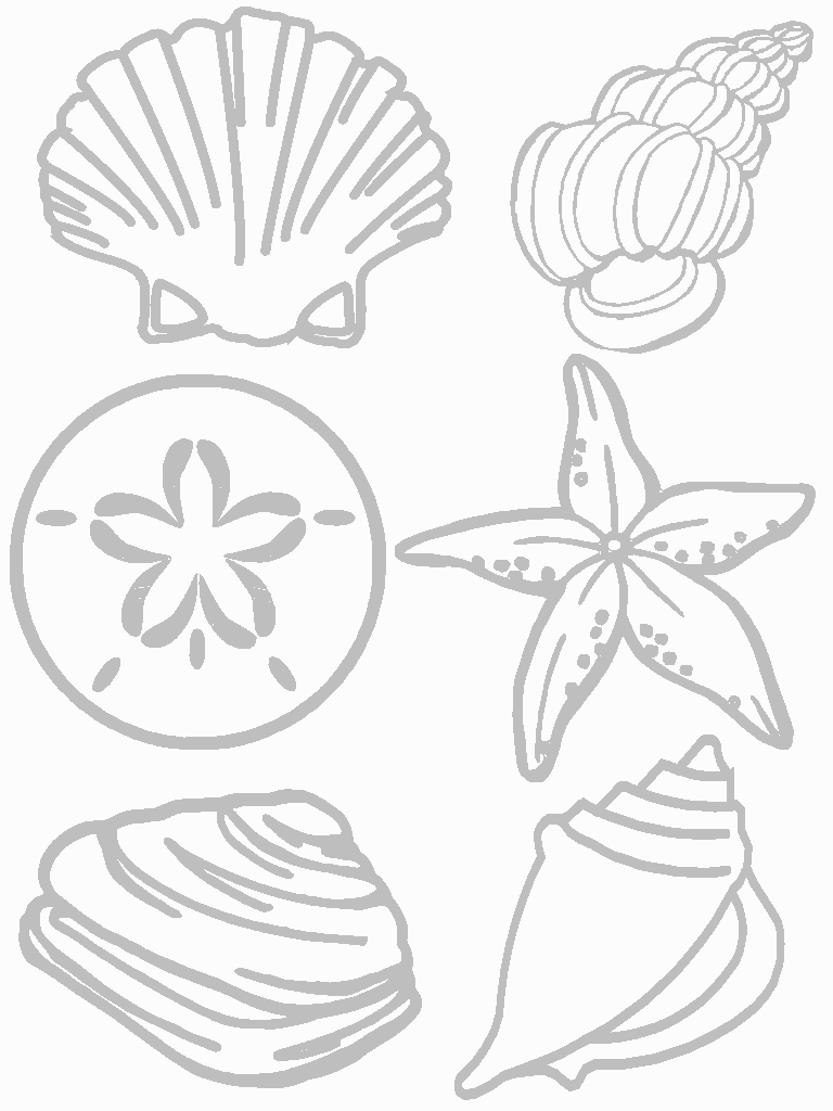 90 Printable Seashell Coloring Pages 6