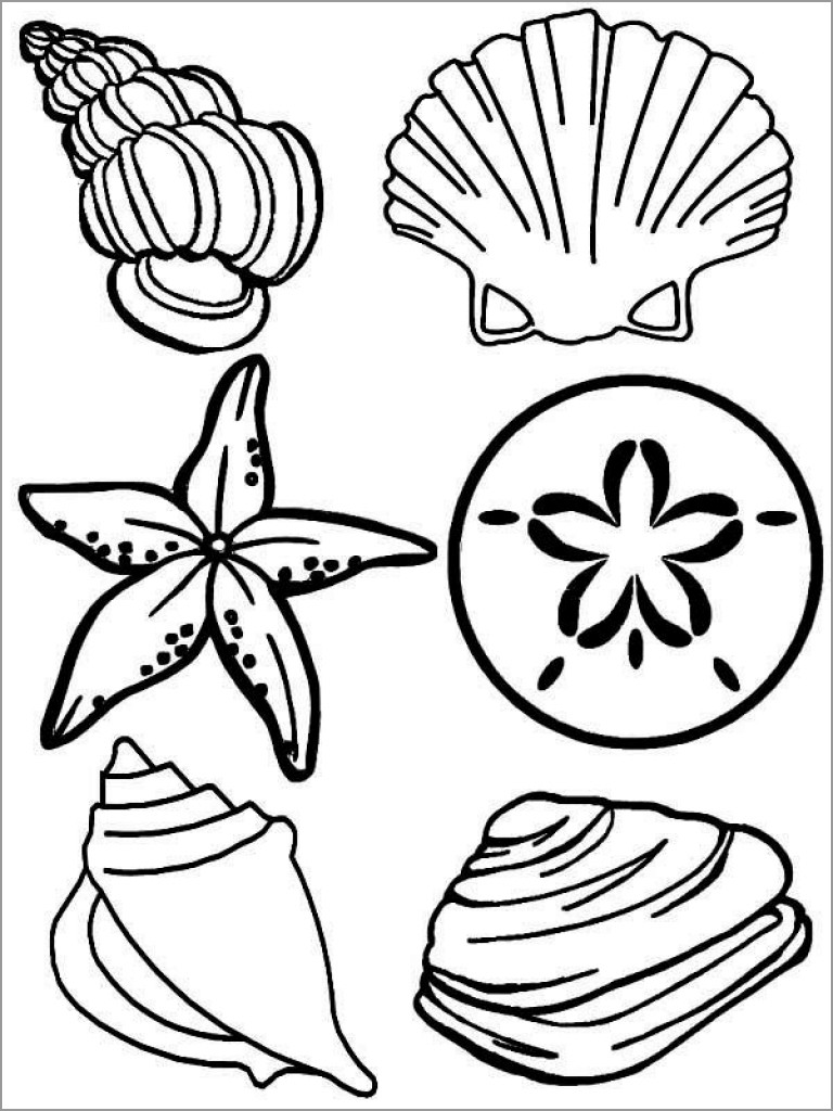 90 Printable Seashell Coloring Pages 7