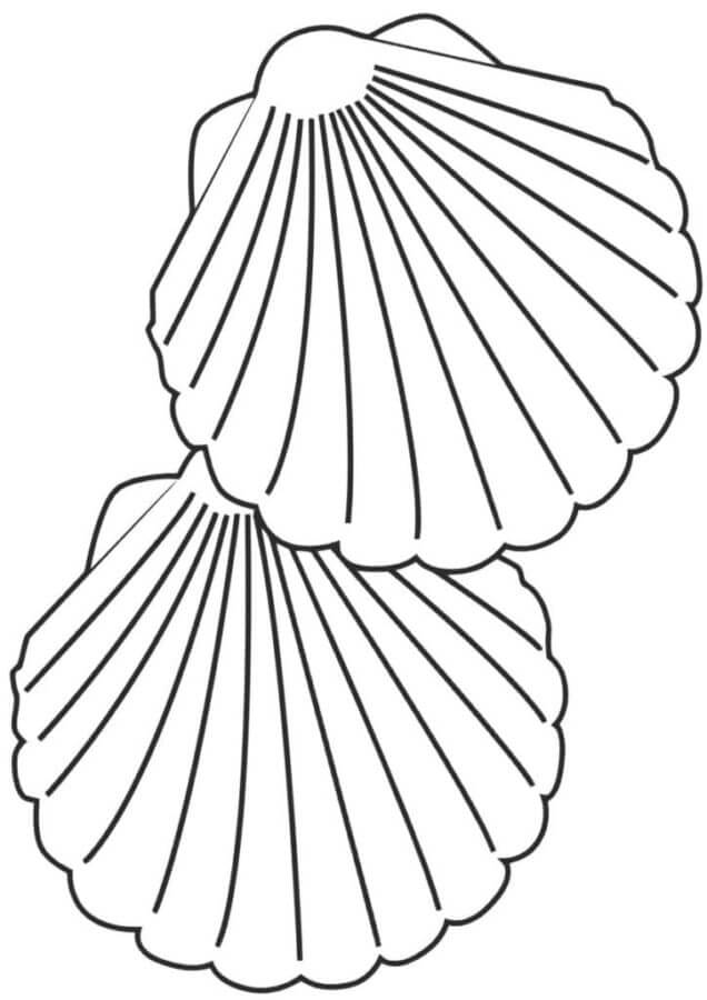 90 Printable Seashell Coloring Pages 9