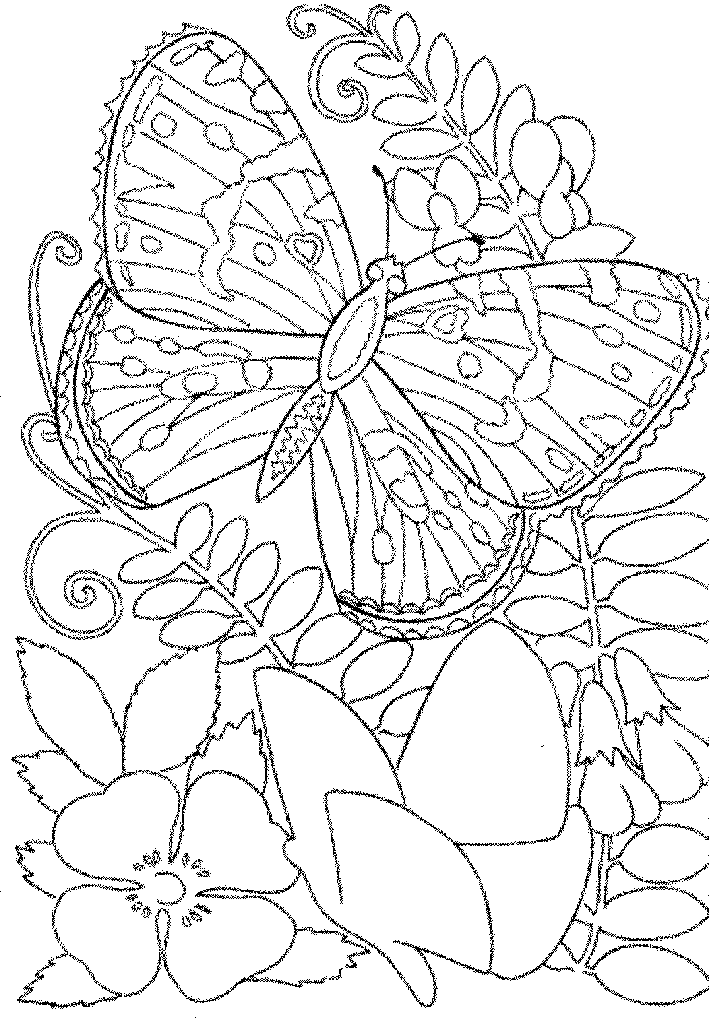 Get 85 Free Download Coloring Pages Ideas 42